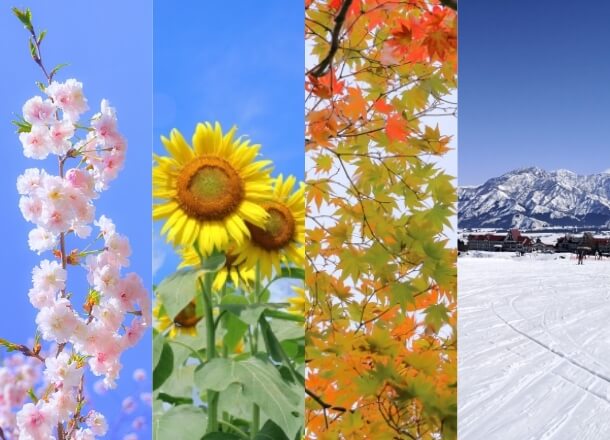 おすすめポイント