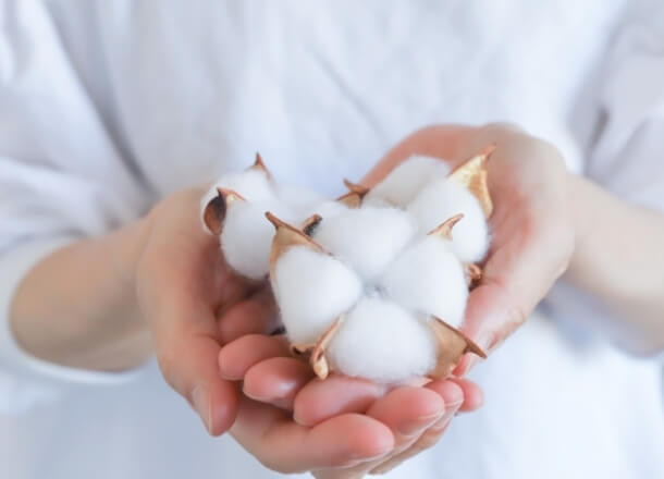 おすすめポイント